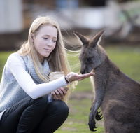 Bonorong Wildlife Sanctuary - Accommodation Kalgoorlie