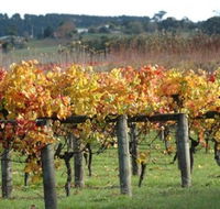 Apsley Gorge Vineyard - Accommodation Kalgoorlie