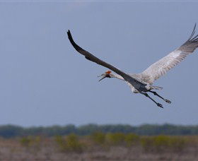 Gayngaru Wetlands Interpretive Walk - Accommodation Kalgoorlie 0