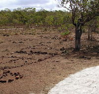 Wurrwurrwuy Garanhan Macassan Beach Interpretive Walk - Accommodation Kalgoorlie