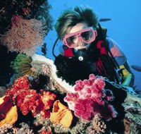 Cook Island Dive Site