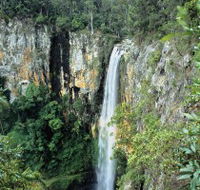 Gondwana Rainforests of Australia