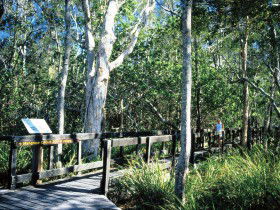 Noosa Heads QLD Accommodation Kalgoorlie