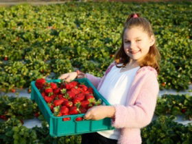  Accommodation Kalgoorlie