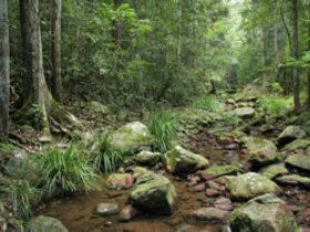 Amamoor State Forest - Accommodation Kalgoorlie 0
