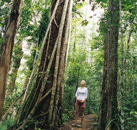 Wet Tropics - Accommodation Kalgoorlie