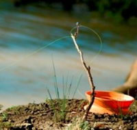 Charleville - Mangalore Warrego River Fishing Spot - Accommodation Kalgoorlie