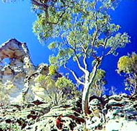 Mount Moffatt Section - Carnarvon National Park - Accommodation Kalgoorlie