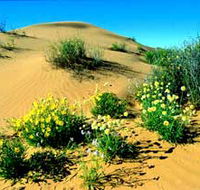 Simpson Desert National Park - Accommodation Kalgoorlie