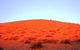 French Line - Simpson Desert - thumb 0