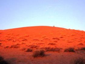 French Line - Simpson Desert - Accommodation Kalgoorlie 0