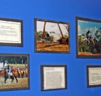 Town Hall Photographic Display - Accommodation Kalgoorlie
