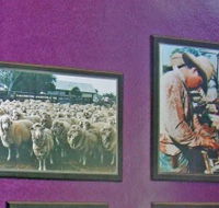 Charleville Photographic Display - Accommodation Kalgoorlie