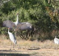 Bulloo River Walk - Accommodation Kalgoorlie