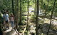 The Pioneer Valley - thumb 0