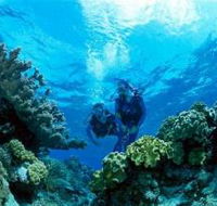 Coral Gardens Dive Site - Accommodation Kalgoorlie