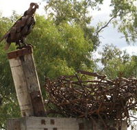 Blackall Sculpture Trail - Accommodation Kalgoorlie
