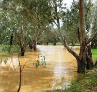 Saddliers Waterhole and Hamburg Creek - Accommodation Kalgoorlie