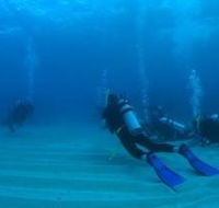 Egg Rock Dive Site - Accommodation Kalgoorlie