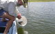 Eungella Dam - thumb 0