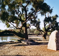 Burke and Wills Dig Tree - Accommodation Kalgoorlie