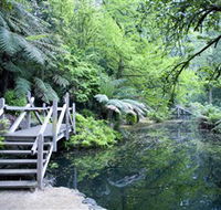 Alfred Nicholas Gardens - Accommodation Kalgoorlie