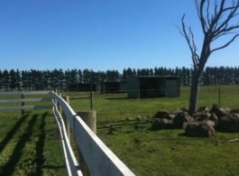 Saddle On Riding School - Accommodation Kalgoorlie 6