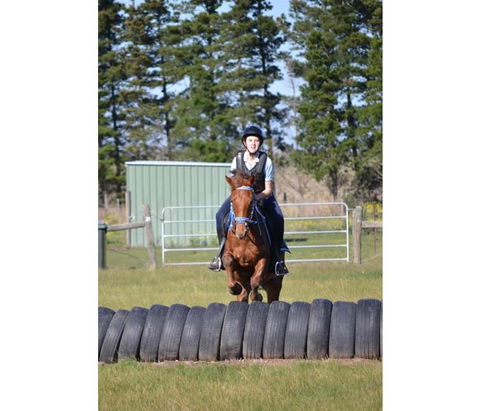 Saddle On Riding School - Accommodation Kalgoorlie 9