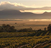 Montara Wines - Accommodation Kalgoorlie