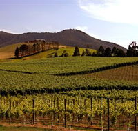 Soumah of Yarra Valley