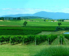 Acacia Ridge Vineyard - Accommodation Kalgoorlie 0