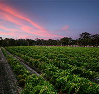 Amherst Winery - Accommodation Kalgoorlie