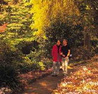 George Tindale Memorial Gardens - Accommodation Kalgoorlie