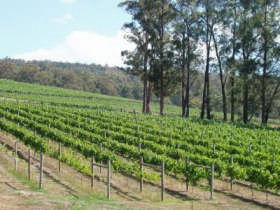 Piedmont Vineyard - Accommodation Kalgoorlie 0