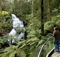 Great Otway National Park - Accommodation Kalgoorlie