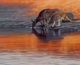 Steve Morvell Wildlife Art - Accommodation Kalgoorlie 0