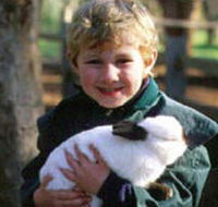 Maribyrnong Valley Parklands - Accommodation Kalgoorlie