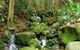 Budderoo National Park - thumb 0