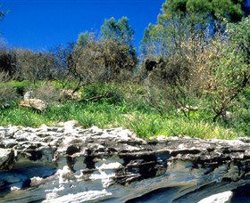 Abrahams Bosom Reserve - Accommodation Kalgoorlie 0