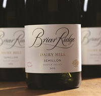 Briar Ridge Vineyard