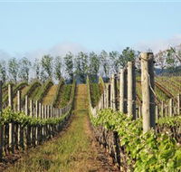 Philip Shaw Wines - Accommodation Kalgoorlie