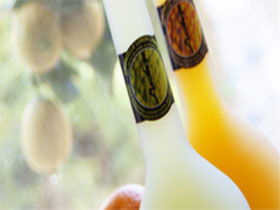 Ambra Limoncello - Accommodation Kalgoorlie 0
