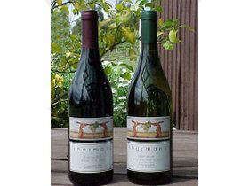 North Esk River Vineyard - Accommodation Kalgoorlie 0