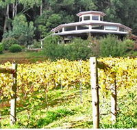 Peveril Vineyard/Beechy Berries - Accommodation Kalgoorlie