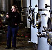 Holm Oak Vineyard
