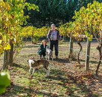 Little River Wines of Taggerty - Accommodation Kalgoorlie