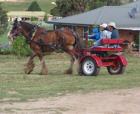 Bathurst Farm Experience - Accommodation Kalgoorlie 3
