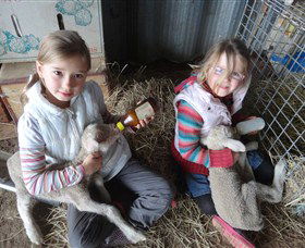Bathurst Farm Experience - Accommodation Kalgoorlie 4