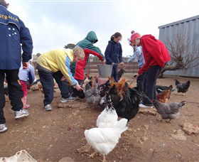 Bathurst Farm Experience - Accommodation Kalgoorlie 2