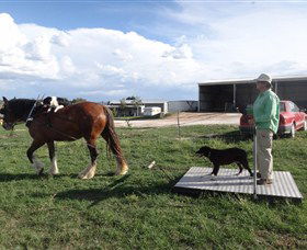 Bathurst Farm Experience - Accommodation Kalgoorlie 6